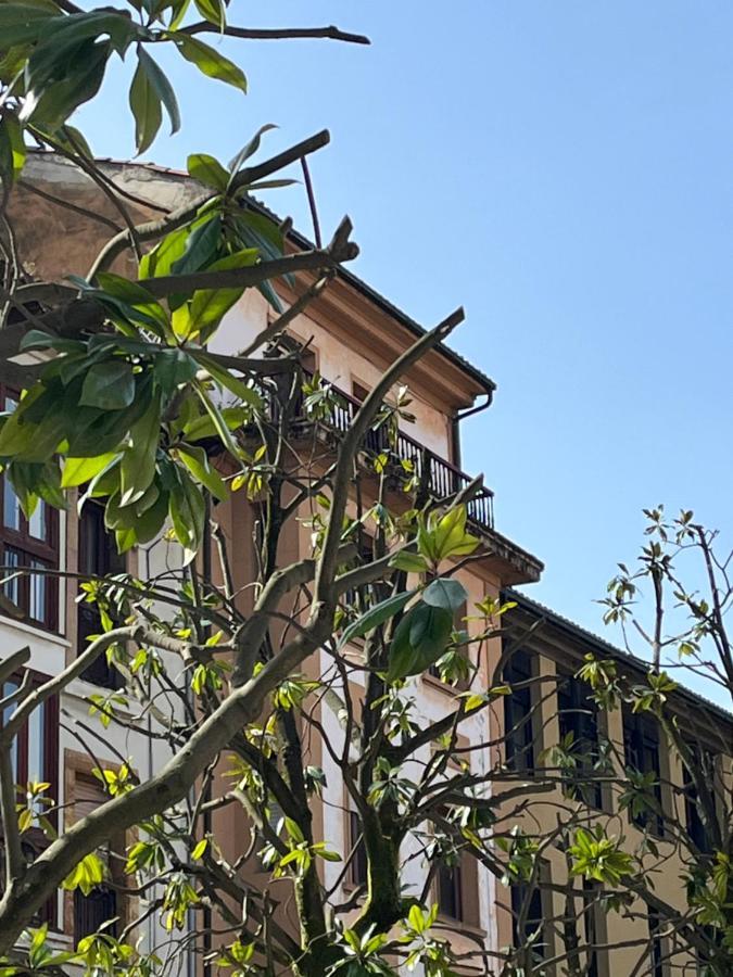 Apartamento Wamba - La Catedral Oviedo Buitenkant foto